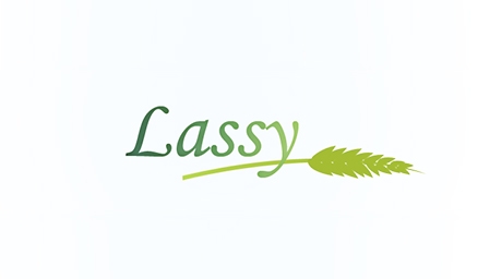 Appli mobile mairie Lassy